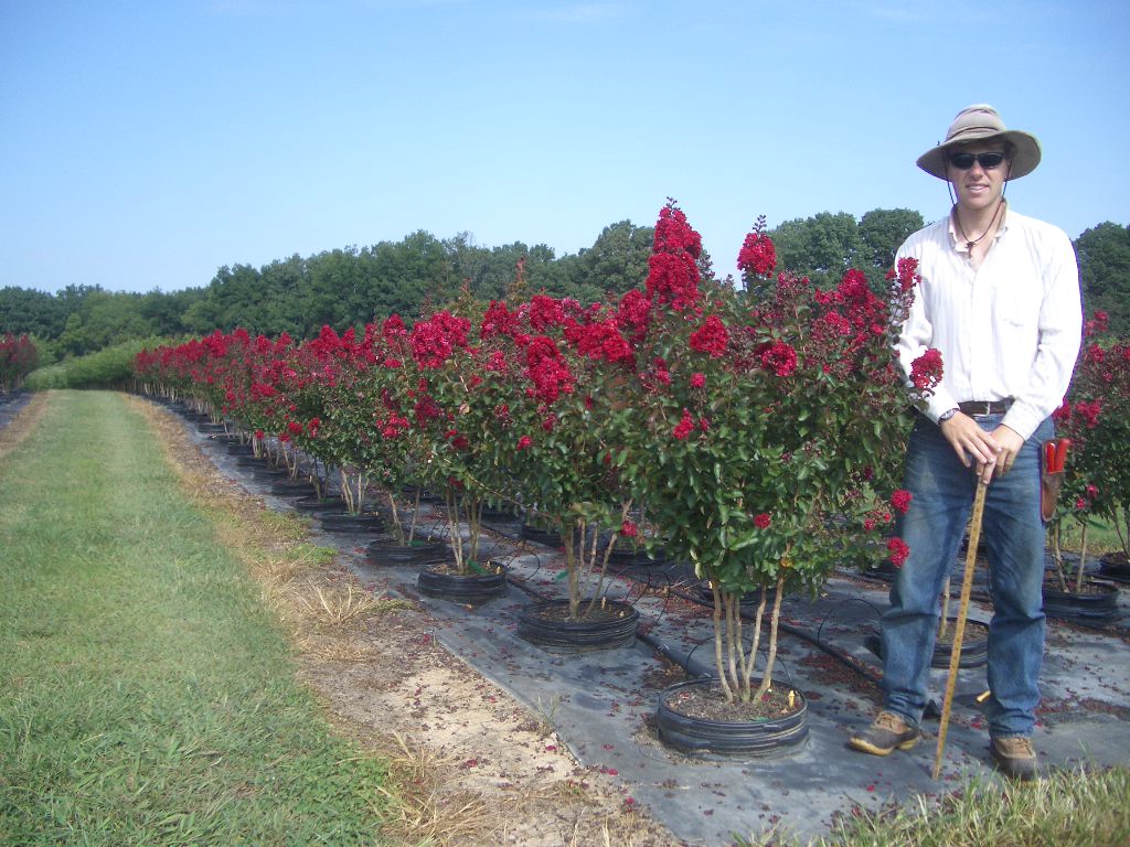 Panther Creek Nursery